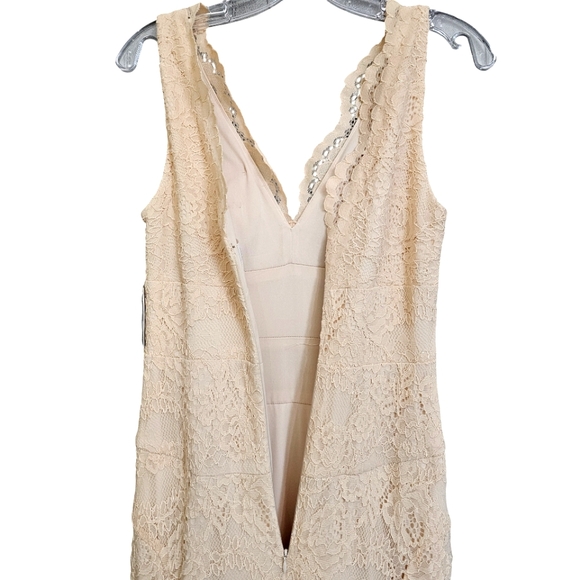 Nwt Nicole Miller Ny Blush Lace Sleeveless Evening Gown - Picture 10 of 17